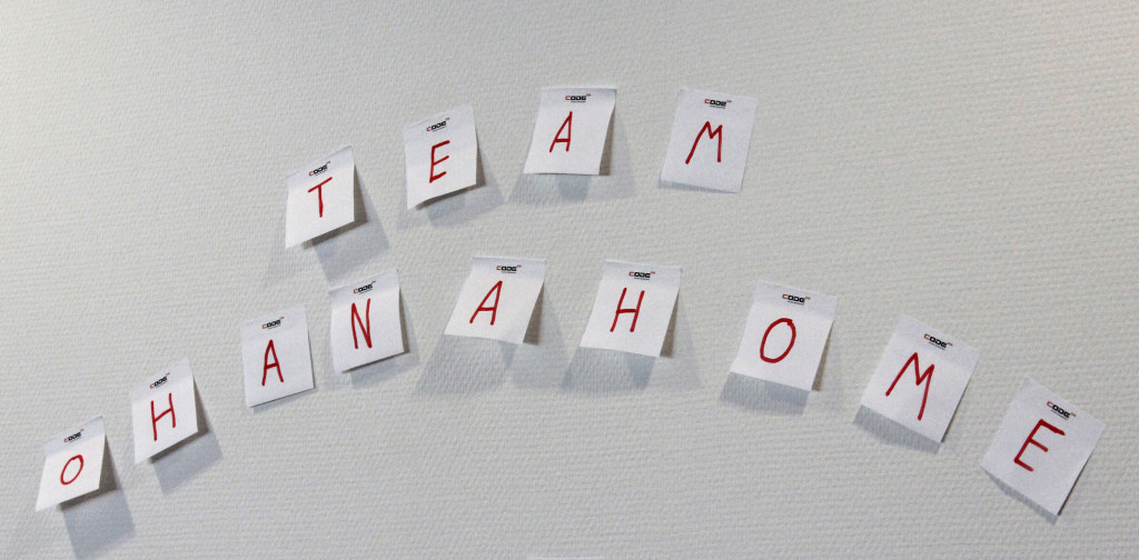 Team Ohanahome